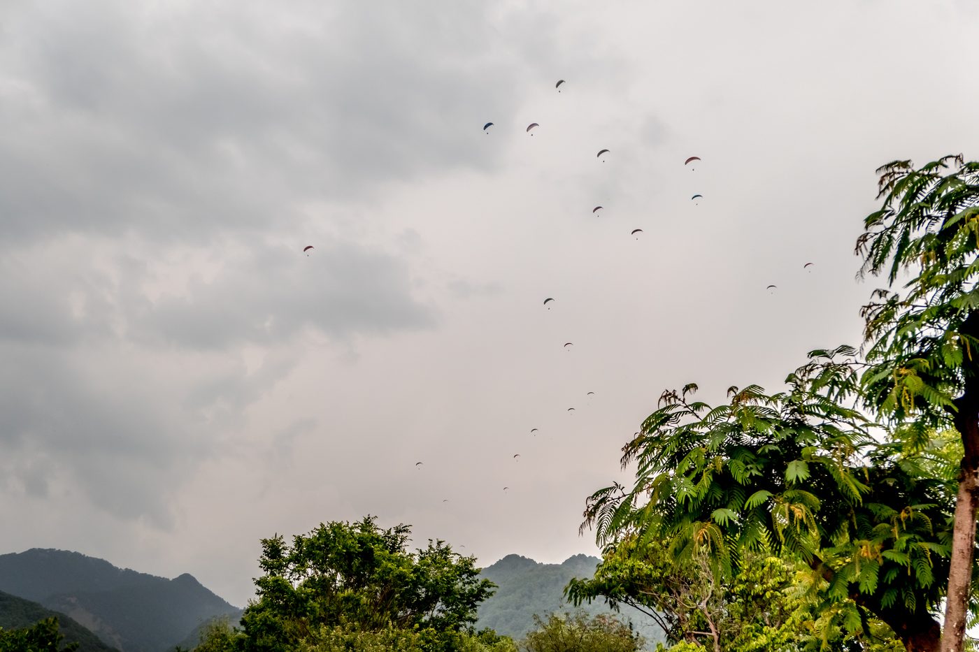 Dozens of paragliders thermalling together under grey cloud
